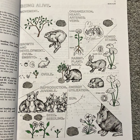 Biology Colouring Book - Picture 6 of 6